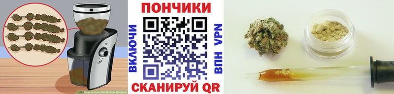 Canna-Cookies марихуана  Обоянь 