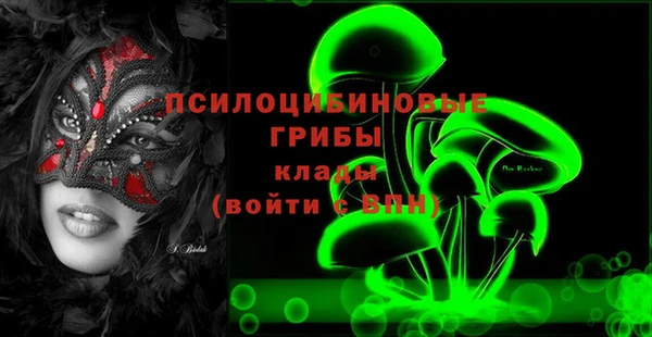 героин Алексин