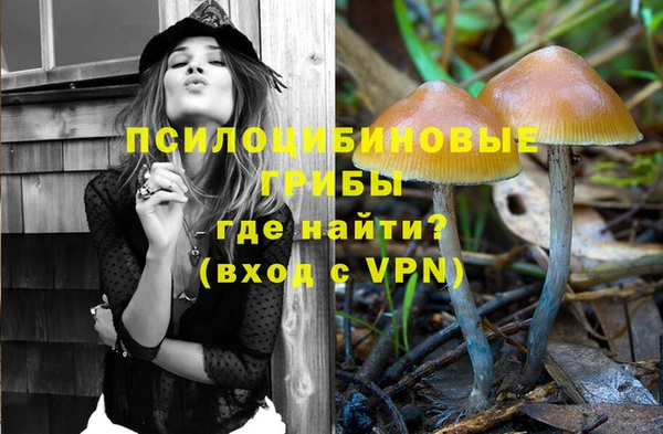 дурь Переславль-Залесский