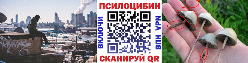 магазин продажи   гидра ССЫЛКА  Псилоцибиновые грибы Magic Shrooms  Обоянь 